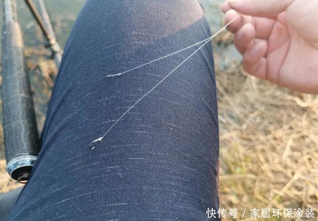 子线|冬钓鲫鱼用多粗的线:0.8子线和0.4子线有何区别?