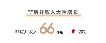 非房开收入增128%,世茂“大飞机”稳健航行|深响·财报? | 航行