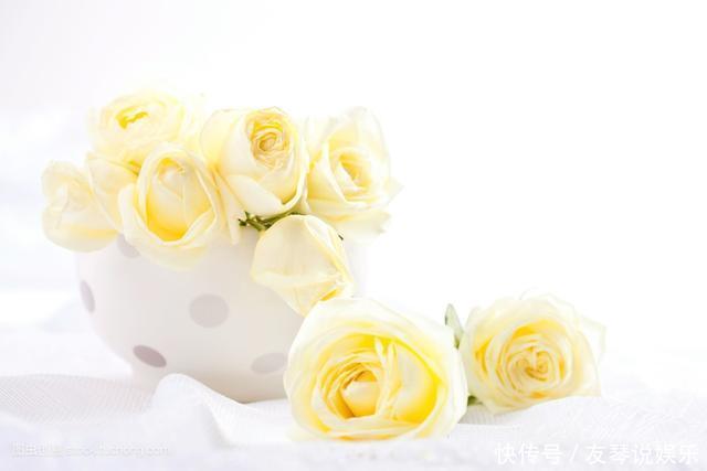 人生8不交,8不能,8不要,8不做,8不比,8不气,8不完