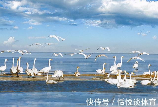 水位|不是好兆头？青海湖不断扩大，究竟是什么原因？可能冲出内陆吗？