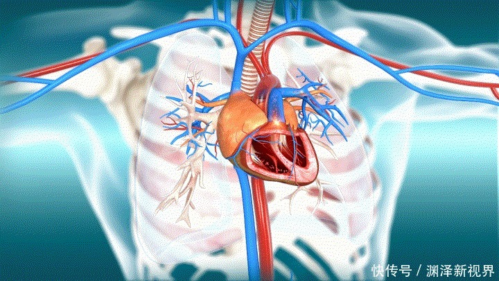 吃什么对心脏和血管好别再信木耳了，权威学术