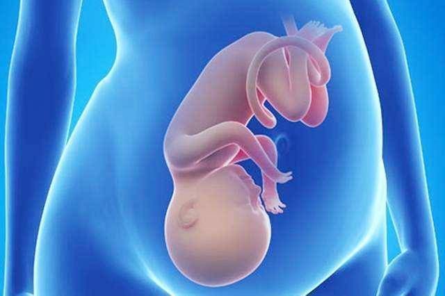 趾骨|孕妈出现“五感觉”，肚子出现“三变化”，说明胎儿已经入盆了