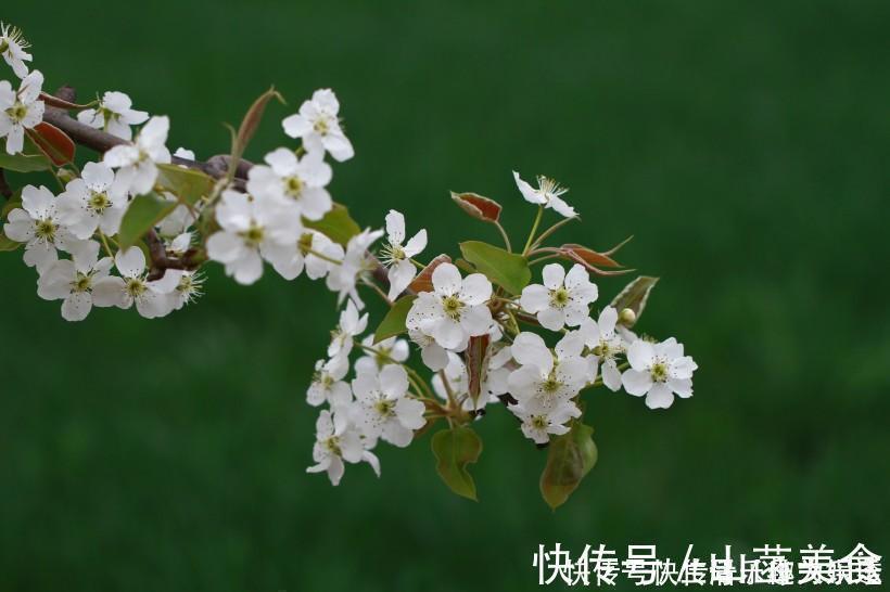 爱情|下个月期间,无法抗拒缘分和桃花,收获满意爱情的四大生肖