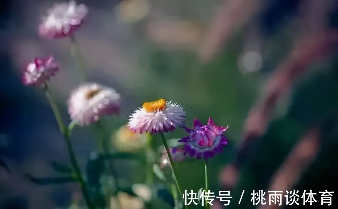 兼职|60岁丁克阿姨被问将来谁给养老?老人坦言:谁的晚年不是风雨飘摇