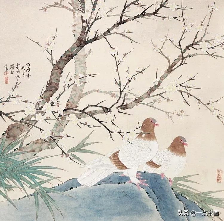 鸽子&喻继高笔下的鸽子，静雅秀丽