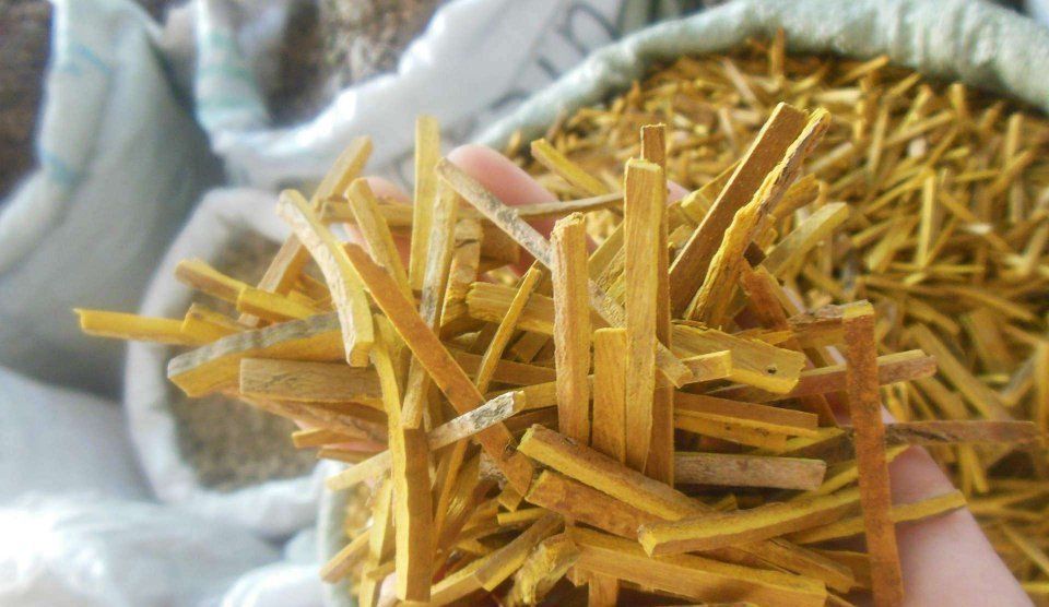 中药|用这三味“苦口良药”泡水喝,易伤脾胃,不妨加上黄芪一起用