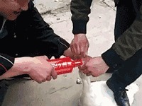 |搞笑GIF:嫂子为了让大哥戒烟 使尽了她浑身招数