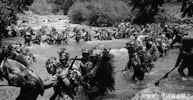 李营长|远征军在山上被日军包围，竟然被一群猴子给救了，气得日军直跺脚！