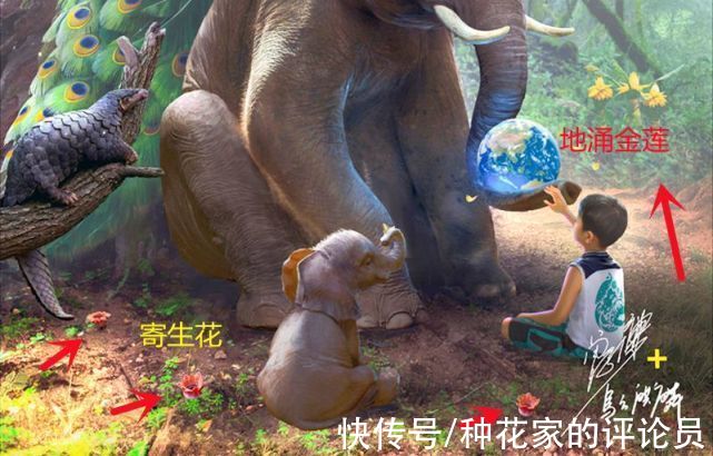 乌合麒麟#乌合麒麟最新作品，这次画面美哭，只有一个小男孩，剩下全是野兽