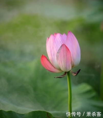 财源|10月份，4属相有贵人提携，财源滚滚，升职加薪，顺风顺水