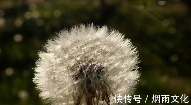 巨蟹座|近期，喜鹊落枝头，桃花蜂拥而至，魅力无限，捕获真爱的4大星座