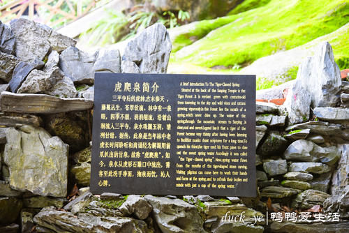 漳州平和三平寺：千年古寺风景优美，柚子飘香，24小时开放