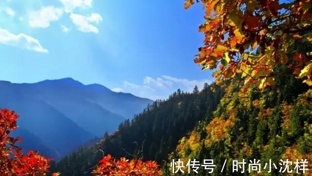 秋景|秋景美如画 榆中兴隆山等您来！