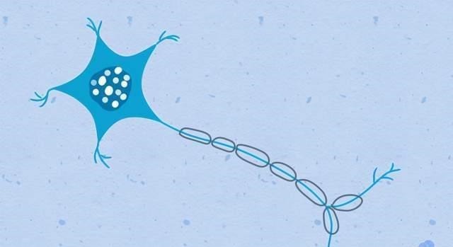 宝宝|孩子智商究竟“随爹”还是“随妈”?真相也许跟你想的不太一样