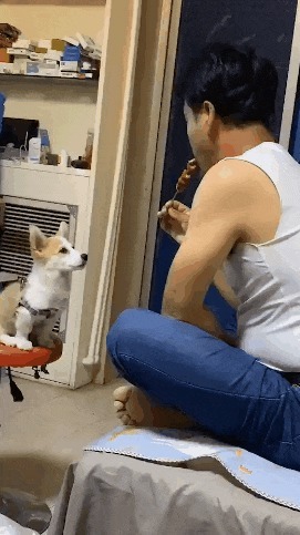 |搞笑GIF趣图:妹子get到一个好技能,不用美颜也能拍出美照