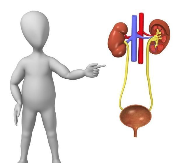 水液|肾冷,尿多,古人只用三味药,轻松解决!这里学问难以想象