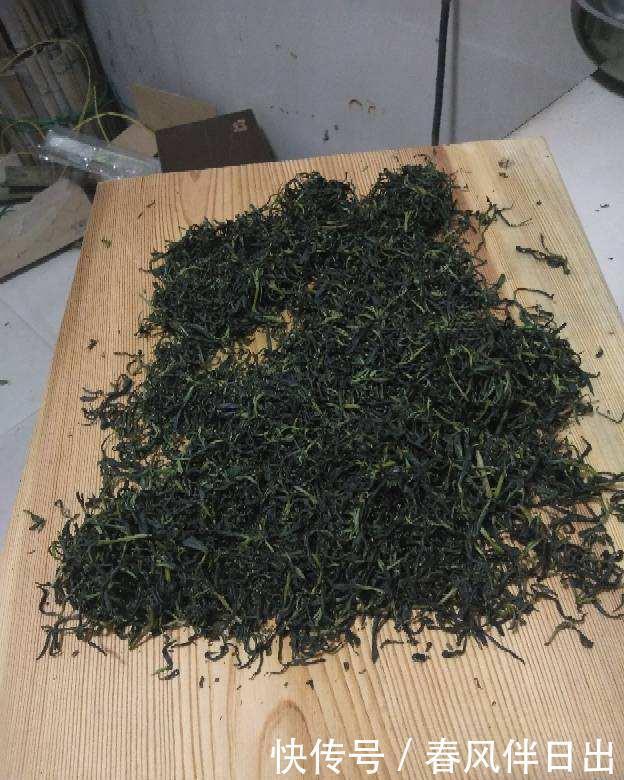 喝剩的茶叶捂一捂,掺到土里肥效足,花儿长得旺