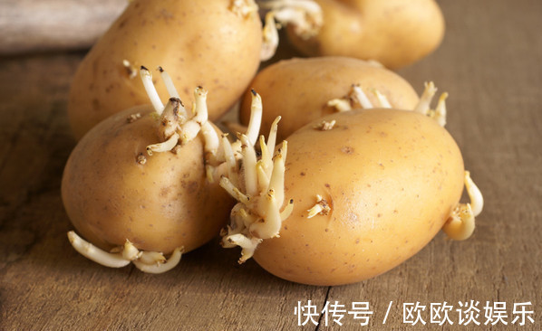 花生|此种食物发芽后，不仅没毒，营养价值还翻倍，很多人不清楚