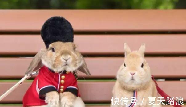 困境|7月28-8月6日,紫气东来,3生肖跳出困境,事业成功在即