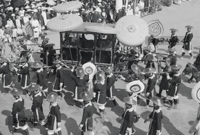 冒死|神医去越南治病,无意间发现一植物,冒死偷来种植,拯救上亿百姓