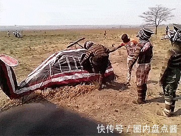 |搞笑GIF趣图出场方式很标准啊,到底是哪里出了问题!