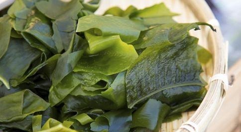 孕妇|海带是最便宜的“长寿菜”,补钾补钙、降胆固醇,可孕妇能吃吗