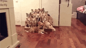 |搞笑GIF:妹纸,你这表情也太夸张了