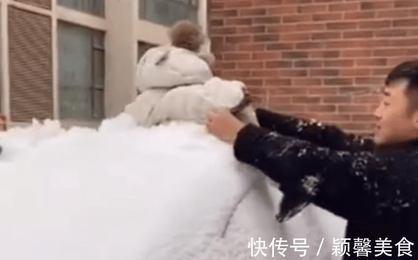 带娃|亲爸把娃放在车顶用来“扫雪”火了,网友:养娃千日,用娃一时!