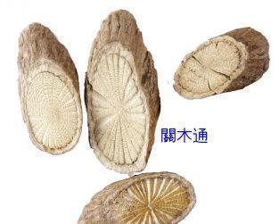 何首乌|这十种中药,用好是良药,没用好是“毒”药