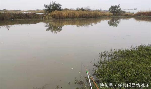 鲫鱼|冬季钓鲫鱼,先别着急下竿,两大策略帮你找鱼窝,不愁钓不到鱼!