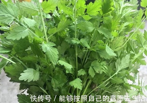 清明|被打绝迹的野菜，在农村老家剩下的一点，看看你还认识吗？