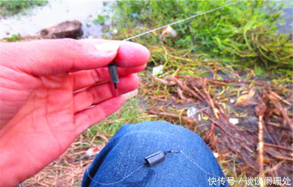 鲢鳙|夏季无风不钓鱼,刮风钓大鱼,刮风天钓大鱼,钓法需要变一变!