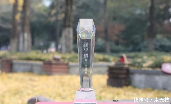 喜讯!百变落叶大赏,小川川又获奖啦!!