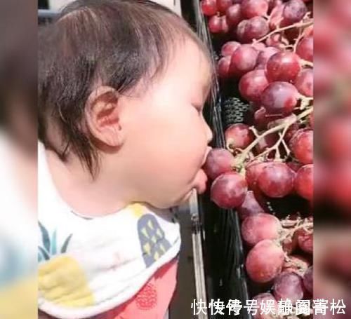 葡萄|具有“吃货潜质”的萌娃因逛超市的这个举动走红,网友:快给娃买