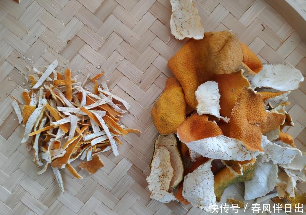 橘子皮别乱扔,教你一招做成花肥,拿来养花比买的肥还好使