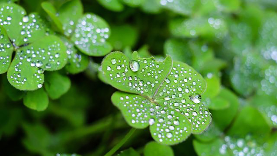 夕阳|李商隐被排挤出长安后,倍感庆幸写下一诗,颔联成千古名句