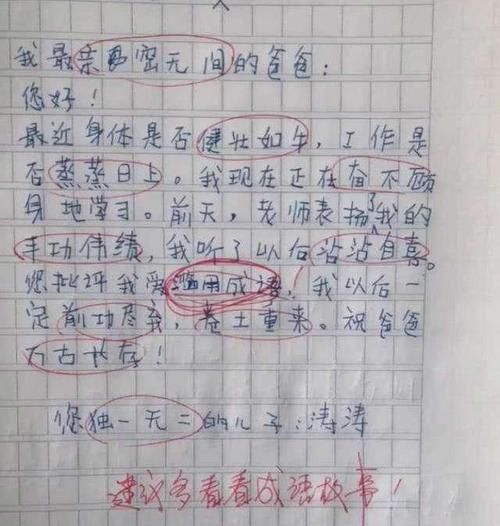 职业生涯|小学生“零分作文”走红老师被气到眼前一黑职业生涯的滑铁卢