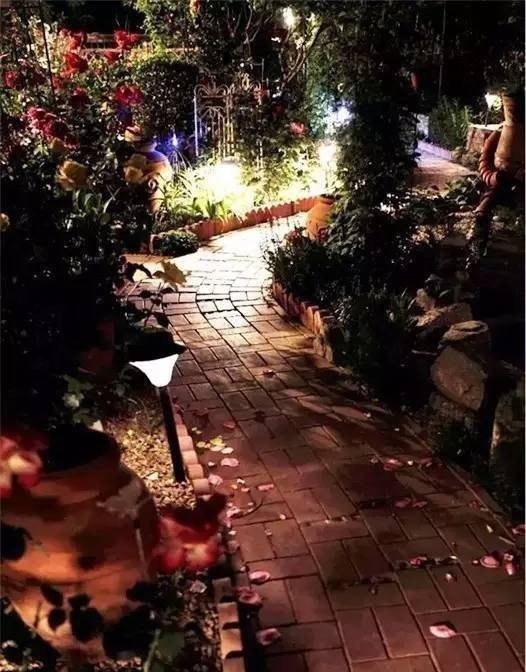 花园|7年前买了栋花园别墅,在600㎡的院子里,创造了一片“城市绿洲”
