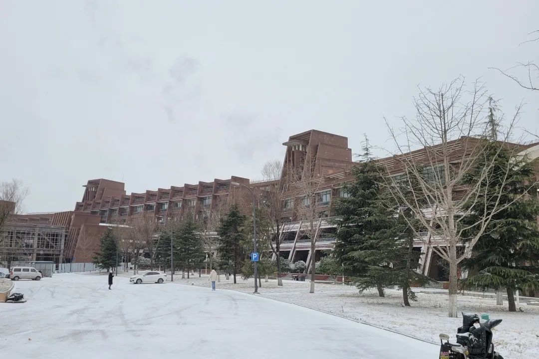 青岛理工大学|今日小雪｜青岛理工大学的雪，你还记得吗？