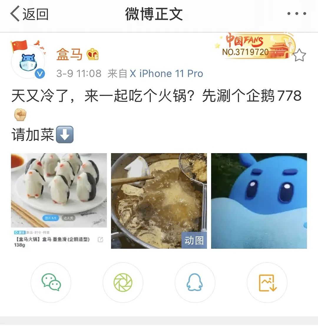 创造营2021，盒马：这个企鹅没有心的