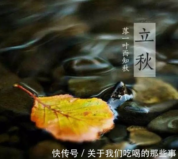 莲藕|立秋后，这5种菜要多吃，降火气除秋燥，应季而食，顺利入秋