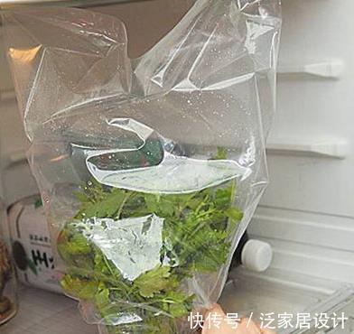 甲之蜜糖|香菜好吃难保存，菜农教你几招，比直接放冰箱还管用