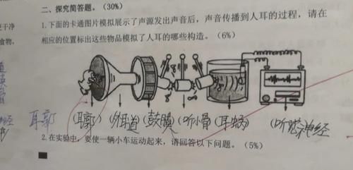 “耳廓还是耳郭？小学科学课本有没有写错？”杭州一位妈妈一路较真，结果令人意外