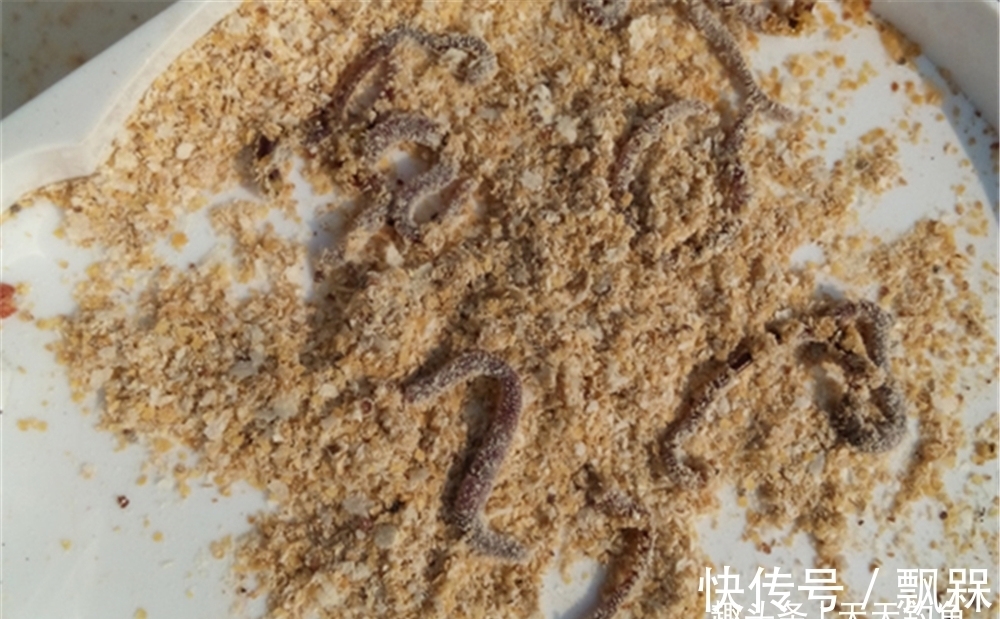 冬钓久等不见发窝,是打窝手法的问题,换个方法,聚鱼效果翻倍