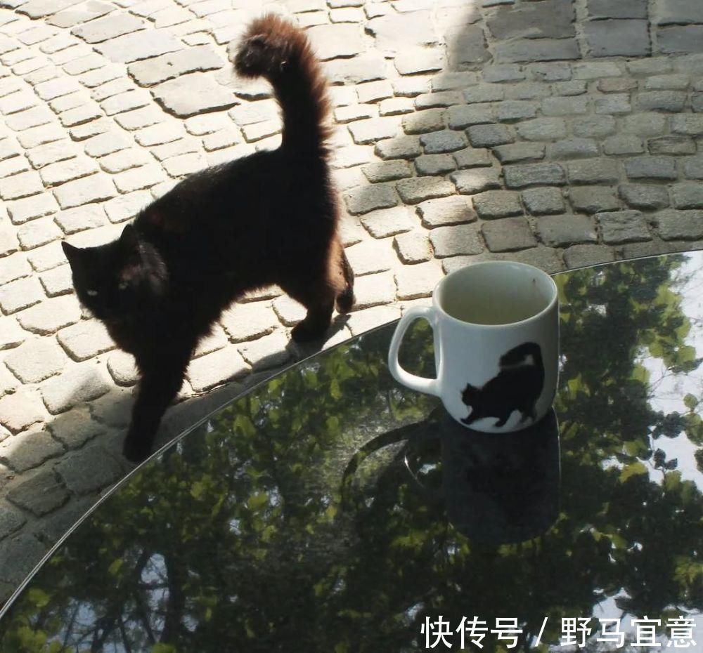 nova$专画“不正经”国画的老外,竟被10万人狂热追捧,看完作品立马佩服不已~