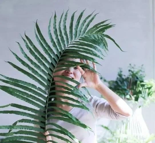 生活|当你还在梦想退休生活的时候,90后已经过上了你想要的田园生活