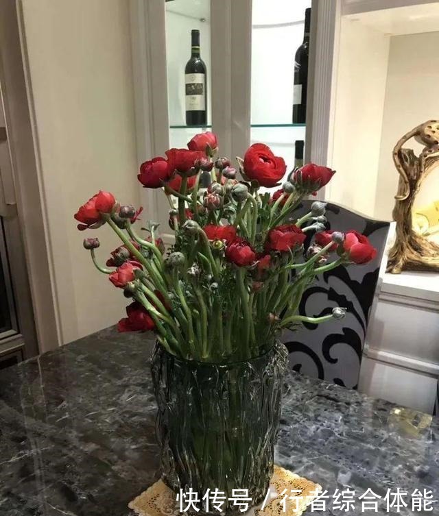 一方阳台,一方多肉,我的生活和姿态!一方阳台,一方多肉,我的生活和姿态!