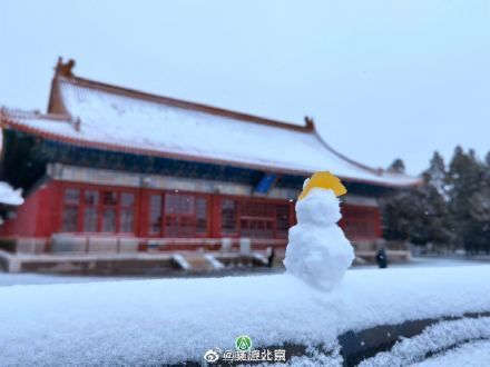 初雪|立冬初雪 北京市属公园美翻天！