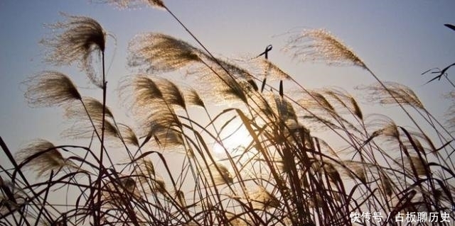 王勃除了巅峰之作《滕王阁序》,这首《咏风》更看出他的人生态度