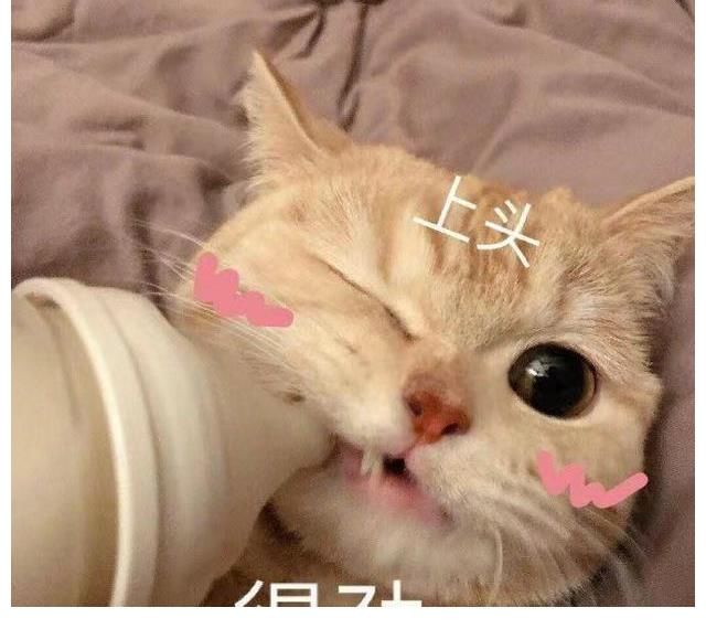 舞种|孟美岐担任《舞蹈生》导师,我做好准备看她们三人的舞台大秀了